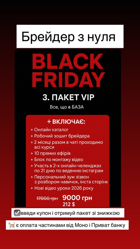 Пакет VIP онлайн курс «Брейдер з нуля» старт 8.01.26 р