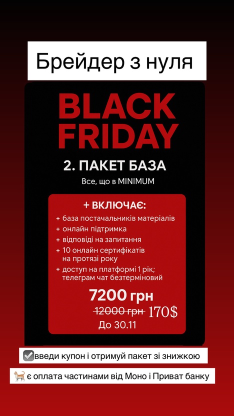 Пакет BASE онлайн "Брейдер з нуля" старт 8.01.26 року